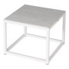 EQUINOX PAINTED LOW TABLE 50